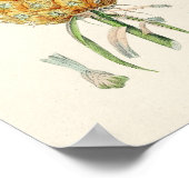 ヴィンテージ植物イラストレーション ポスター (角)