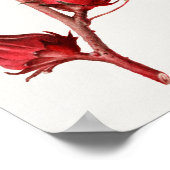 ヴィンテージ植物イラストレーション ポスター (角)