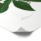 ヴィンテージ植物イラストレーション ポスター (角)