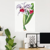 ヴィンテージ植物イラストレーション ポスター (ホームオフィス)