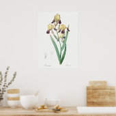 ヴィンテージ植物イラストレーション ポスター (キッチン)