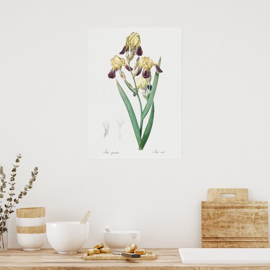 ヴィンテージ植物イラストレーション ポスター (キッチン)