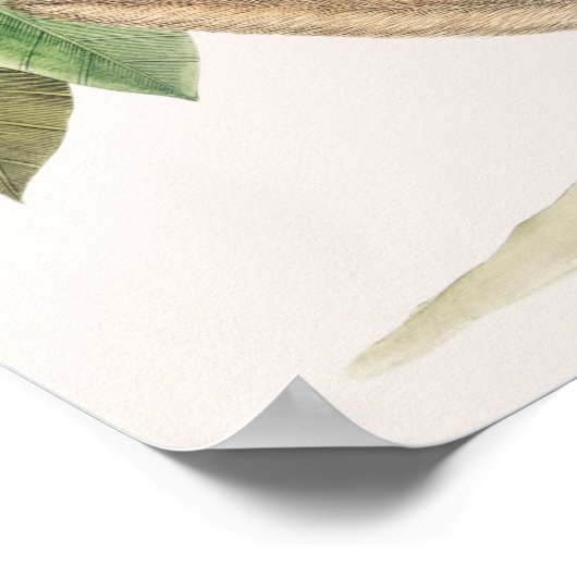 ヴィンテージ植物イラストレーション ポスター (角)