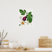 ヴィンテージ植物イラストレーション ポスター (キッチン)