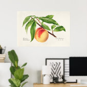 ヴィンテージ植物イラストレーション ポスター (ホームオフィス)