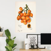 ヴィンテージ植物イラストレーション ポスター (ホームオフィス)