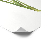 ヴィンテージ植物イラストレーション ポスター (角)