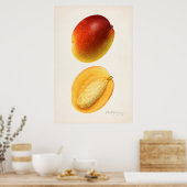 ヴィンテージ植物イラストレーション ポスター (キッチン)