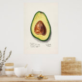 ヴィンテージ植物イラストレーション ポスター (キッチン)