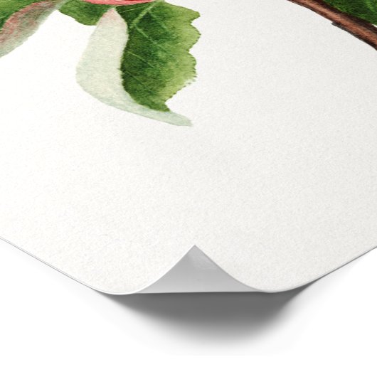 ヴィンテージ植物イラストレーション ポスター (角)