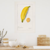 ヴィンテージ植物イラストレーション ポスター (キッチン)