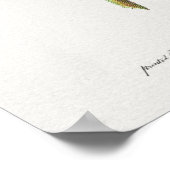 ヴィンテージ植物イラストレーション ポスター (角)