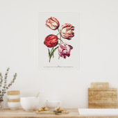 ヴィンテージ植物イラストレーション ポスター (キッチン)