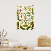 ヴィンテージ植物イラストレーション ポスター (キッチン)