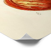 ヴィンテージ植物イラストレーション ポスター (角)