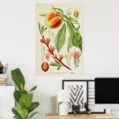 ヴィンテージ植物イラストレーション ポスター (ホームオフィス)