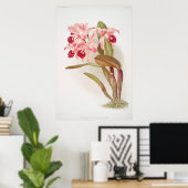 ヴィンテージ植物イラストレーション ポスター (ホームオフィス)