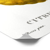 ヴィンテージ植物イラストレーション ポスター (角)