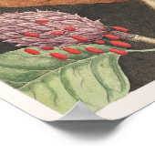 ヴィンテージ植物イラストレーション ポスター (角)