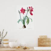 ヴィンテージ植物イラストレーション ポスター (キッチン)