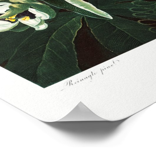 ヴィンテージ植物イラストレーション ポスター (角)