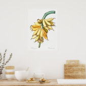 ヴィンテージ植物イラストレーション ポスター (キッチン)