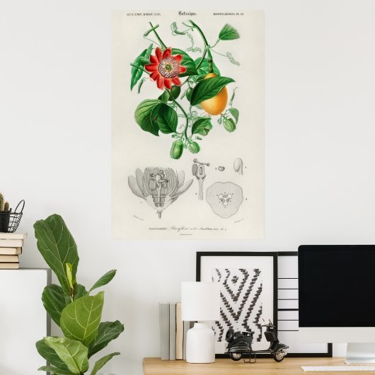 ヴィンテージ植物イラストレーション ポスター (ホームオフィス)