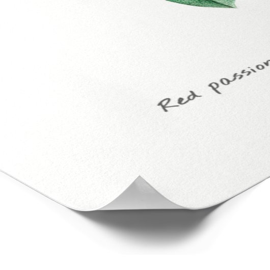 ヴィンテージ植物イラストレーション ポスター (角)