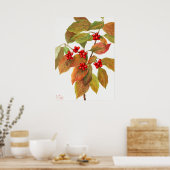 ヴィンテージ植物イラストレーション ポスター (キッチン)