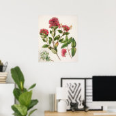 ヴィンテージ植物イラストレーション ポスター (ホームオフィス)