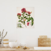 ヴィンテージ植物イラストレーション ポスター (キッチン)