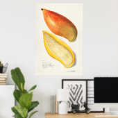 ヴィンテージ植物イラストレーション ポスター (ホームオフィス)