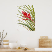 ヴィンテージ植物イラストレーション ポスター (キッチン)