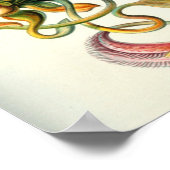 ヴィンテージ植物イラストレーション ポスター (角)