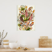 ヴィンテージ植物イラストレーション ポスター (キッチン)