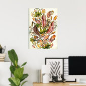 ヴィンテージ植物イラストレーション ポスター (ホームオフィス)