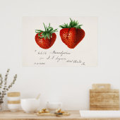 ヴィンテージ植物イラストレーション ポスター (キッチン)