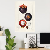 ヴィンテージ植物イラストレーション ポスター (ホームオフィス)