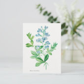 ヴィンテージ植物イラストレーション ポストカード (スタンド正面)