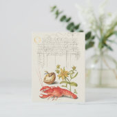 ヴィンテージ植物イラストレーション ポストカード (スタンド正面)