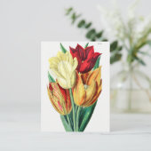 ヴィンテージ植物イラストレーション ポストカード (スタンド正面)