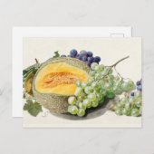 ヴィンテージ植物イラストレーション ポストカード (正面/裏面)