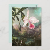 ヴィンテージ植物イラストレーション ポストカード (正面/裏面)