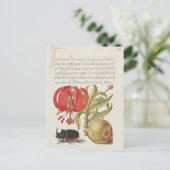 ヴィンテージ植物イラストレーション ポストカード (スタンド正面)