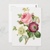 ヴィンテージ植物イラストレーション ポストカード (正面/裏面)