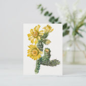 ヴィンテージ植物イラストレーション ポストカード (スタンド正面)