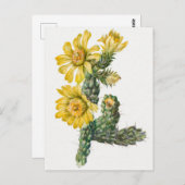 ヴィンテージ植物イラストレーション ポストカード (正面/裏面)