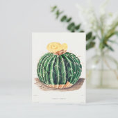 ヴィンテージ植物イラストレーション ポストカード (スタンド正面)