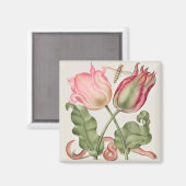 ヴィンテージ植物イラストレーション マグネット (正面/裏面)