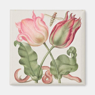 ヴィンテージ植物イラストレーション マグネット